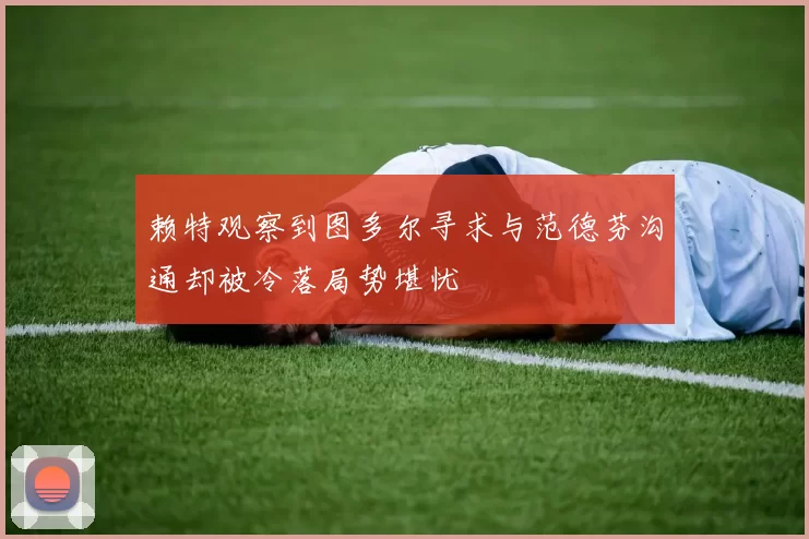 赖特观察到图多尔寻求与范德芬沟通却被冷落局势堪忧